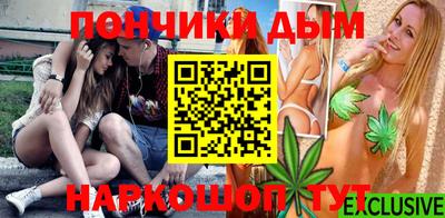 гидропоника Партизанск