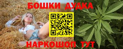 гидропоника Пенза
