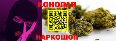 гидропоника Пенза