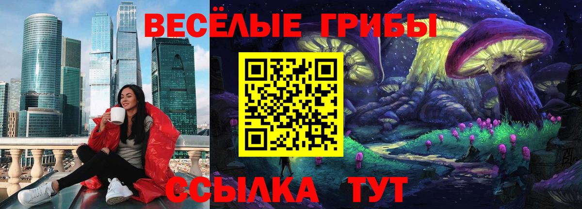 Сокол  Галлюциногенные грибы Magic Shrooms  Вход с VPN  Галлюциногенные грибы прущие грибы 