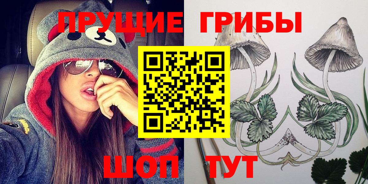 Псилоцибиновые грибы Cubensis Сокол